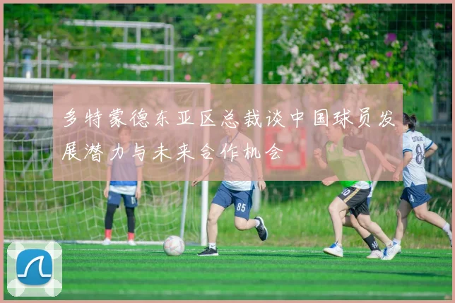 多特蒙德东亚区总裁谈中国球员发展潜力与未来合作机会